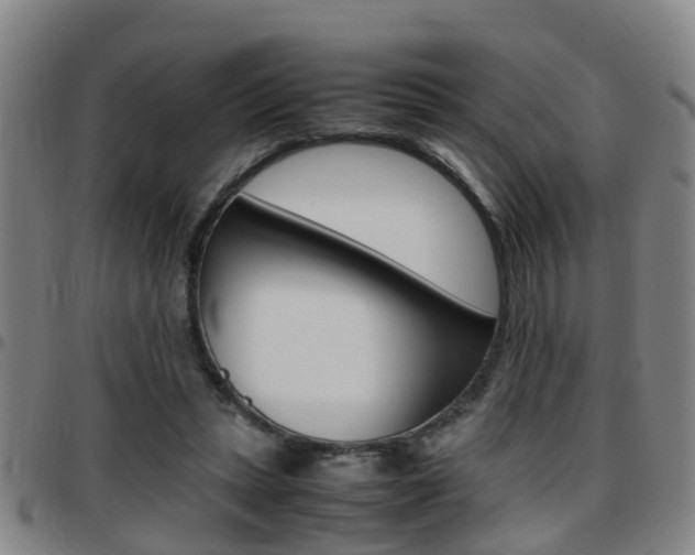 X0000097880447200803140946
