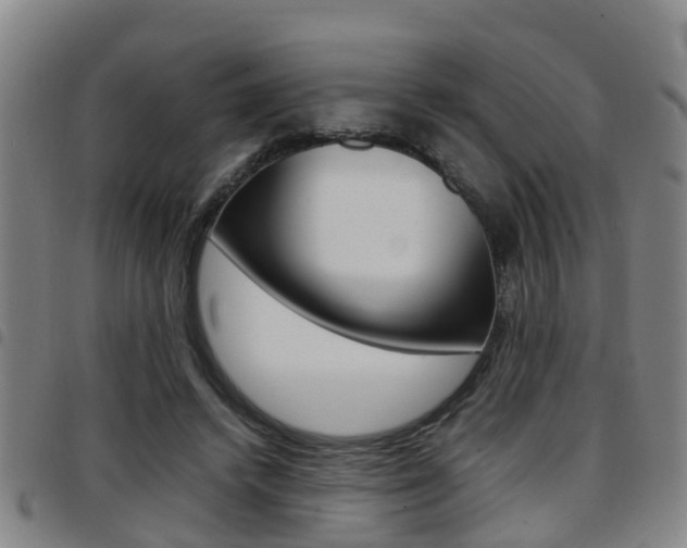 X0000097880448200803140946