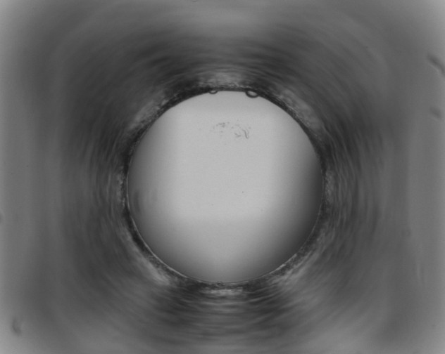 X0000097880449200803140946