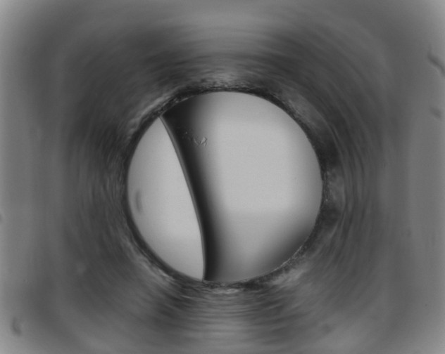 X0000097880450200803140946