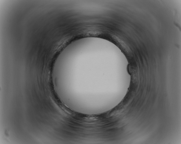 X0000097880451200803140946