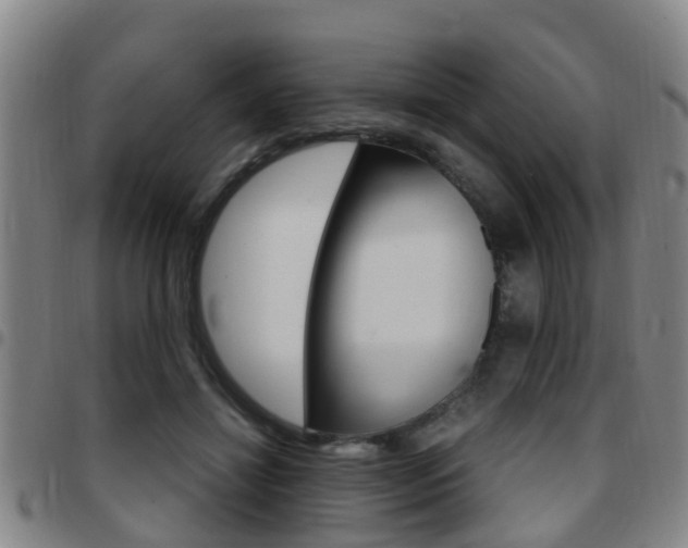 X0000097880452200803140946