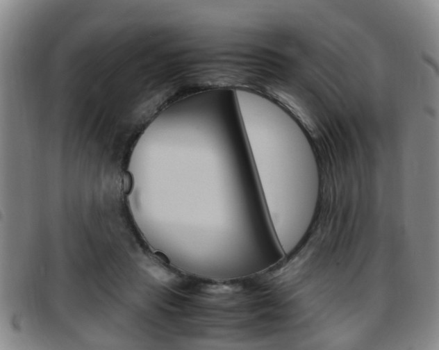 X0000097880453200803140946
