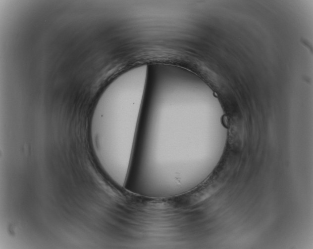 X0000097880454200803140946