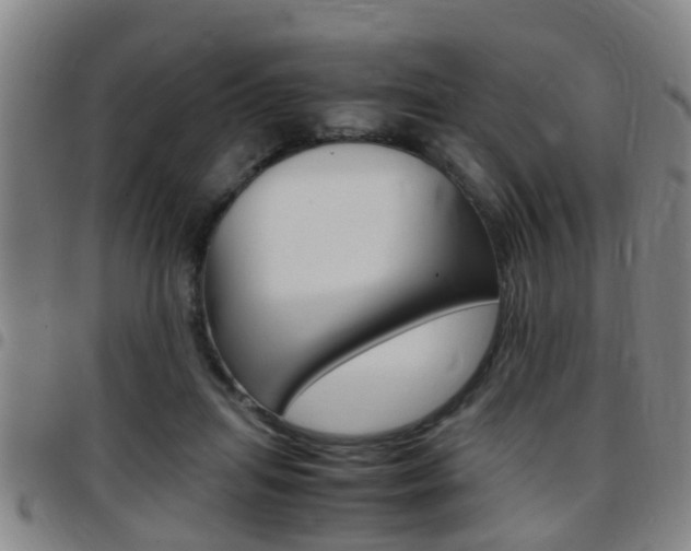 X0000097880455200803140946