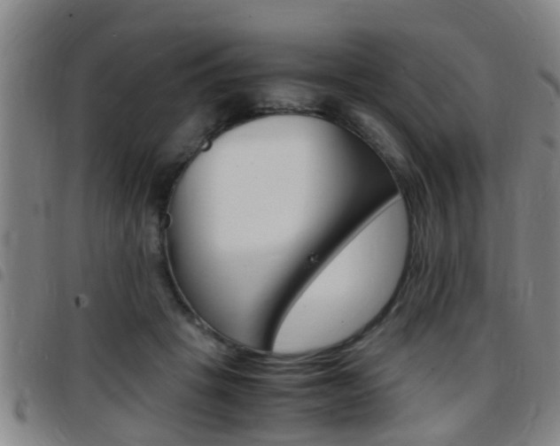X0000097880457200803140946