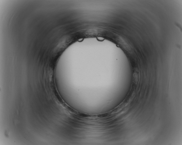 X0000097880458200803140946