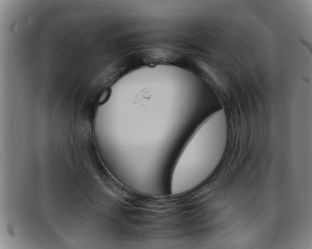 X0000097880459200803140946