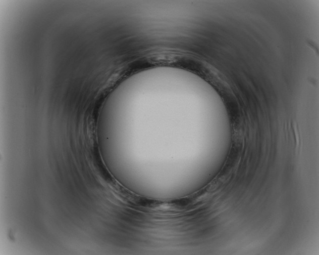 X0000097880460200803140946
