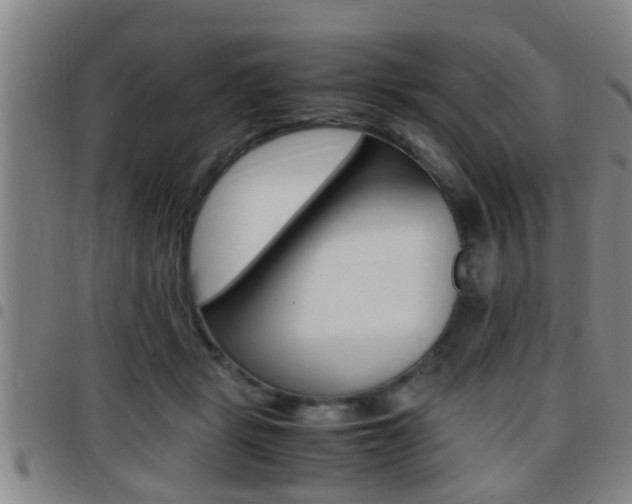 X0000097880461200803140946