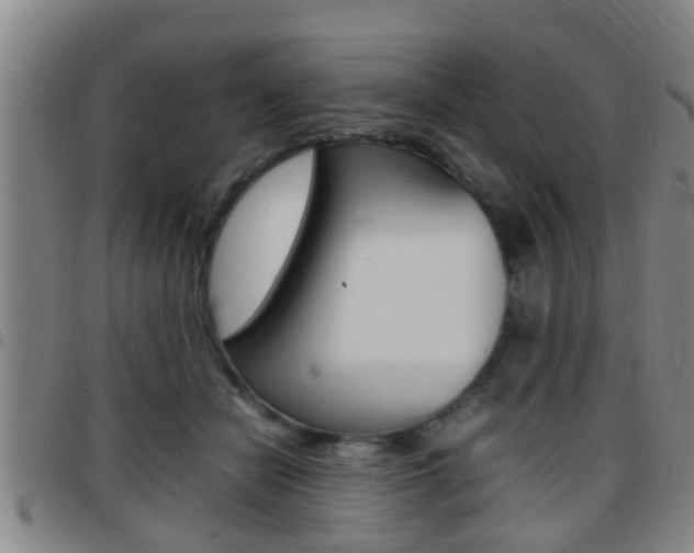 X0000097880462200803140946