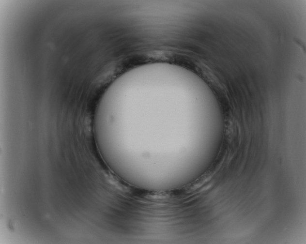X0000097880466200803140946