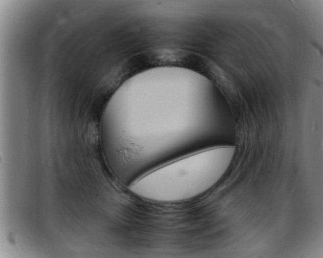 X0000097880467200803140946