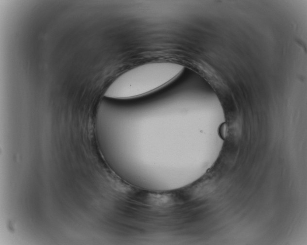 X0000097880469200803140946