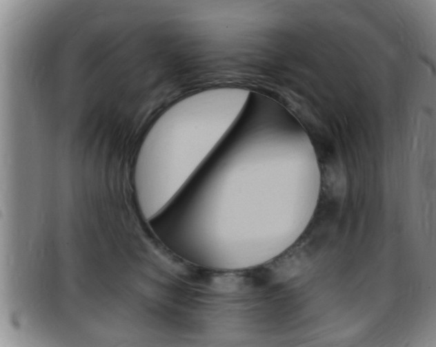 X0000097880470200803140946
