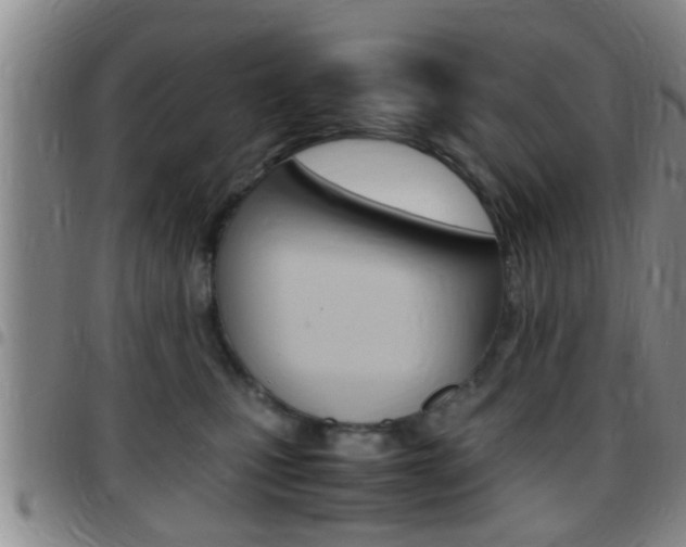 X0000097880471200803140946