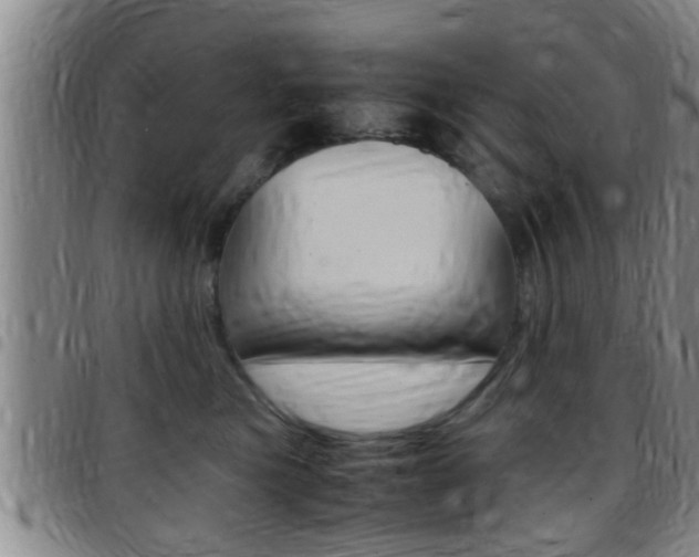 X0000097880473200803140946