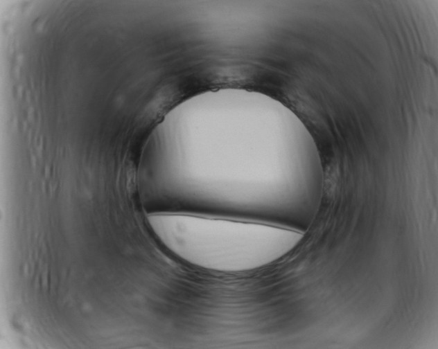 X0000097880474200803140946