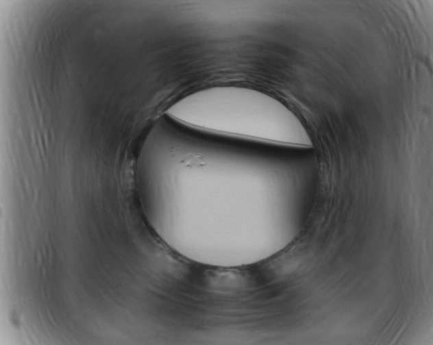 X0000097880475200803140946