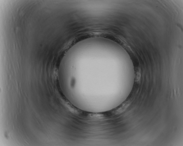 X0000097880476200803140946