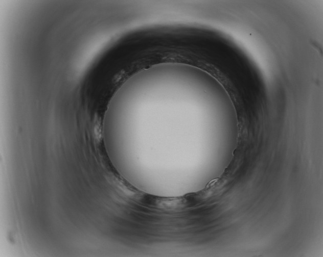X0000097880479200803140946
