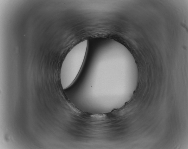 X0000097880480200803140946