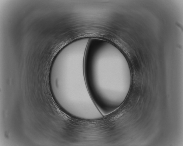 X0000097880481200803140946