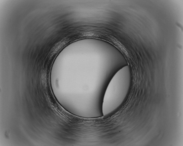 X0000097880482200803140946