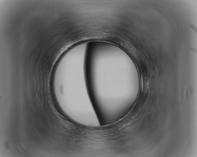 X0000097880483200803140946