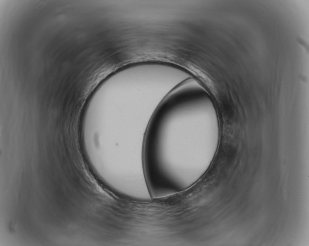 X0000097880485200803140946