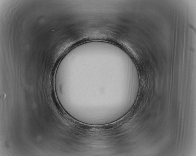 X0000097880487200803140946