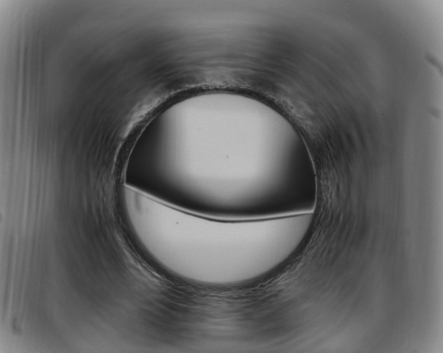 X0000097880488200803140946