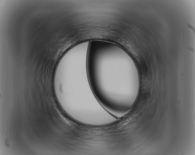 X0000097880489200803140946