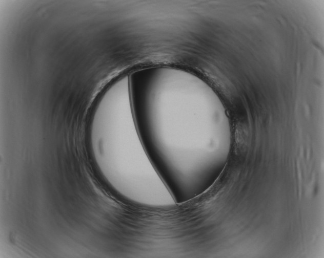 X0000097880492200803140946