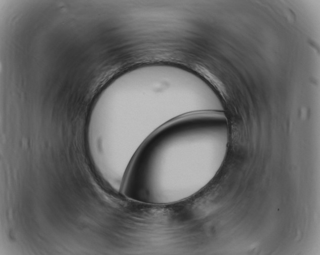 X0000097880493200803140946