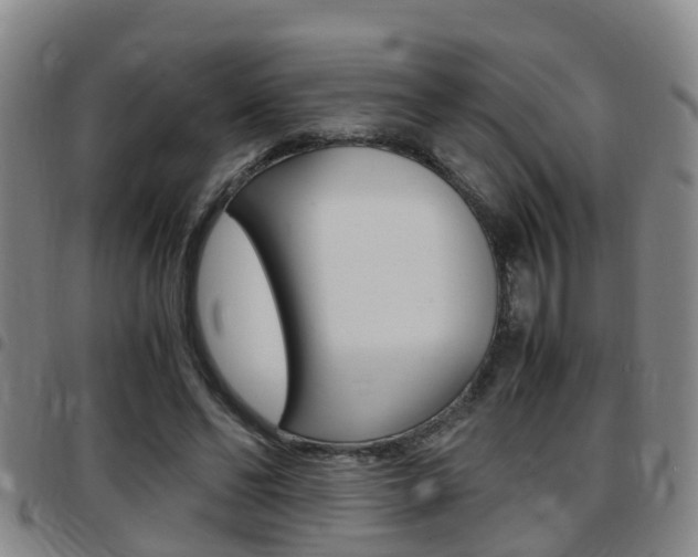 X0000097880494200803140946