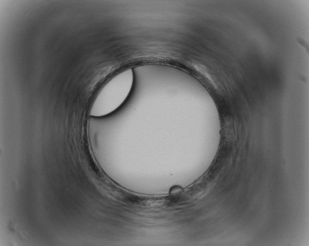 X0000097880495200803140946