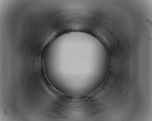 X0000097880496200803140946