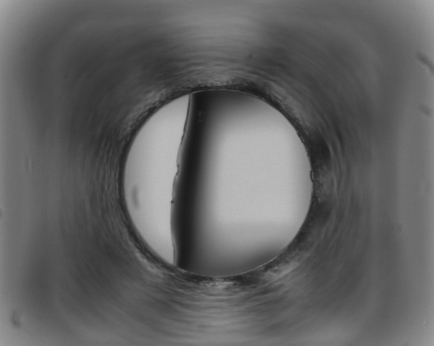 X0000097880497200803140945