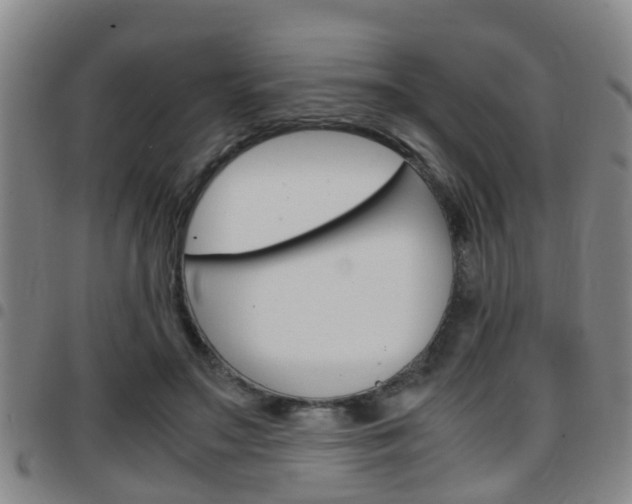 X0000097880499200803140945