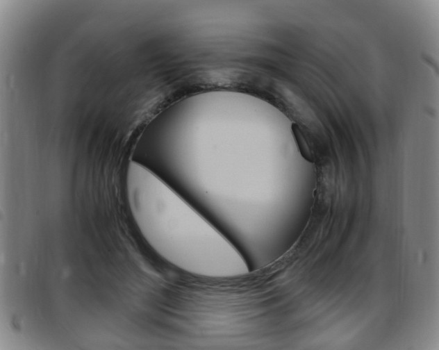 X0000097880500200803140945