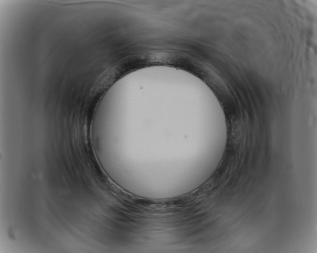 X0000097880502200803140945