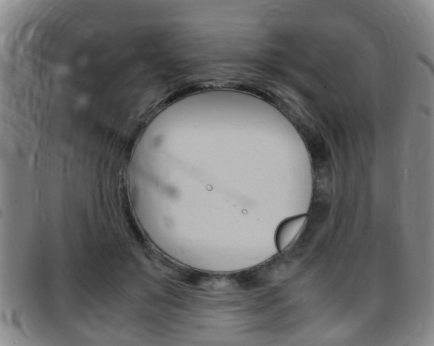 X0000097880503200803140945