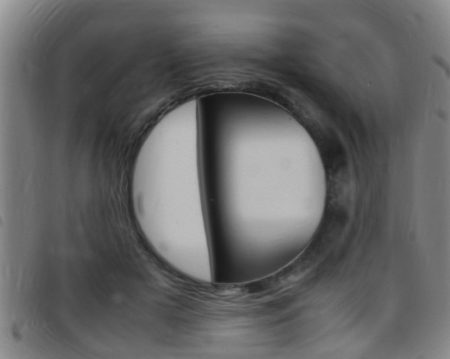 X0000097880505200803140945