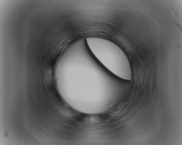 X0000097880506200803140945