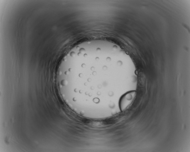 X0000097880507200803140945
