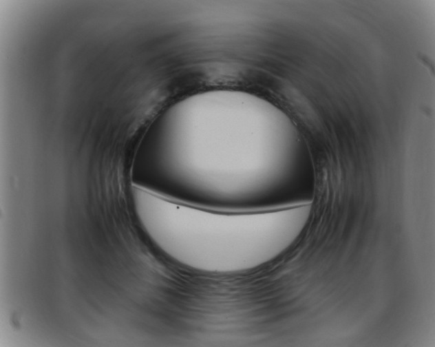 X0000097880508200803140945