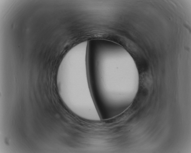X0000097880509200803140945
