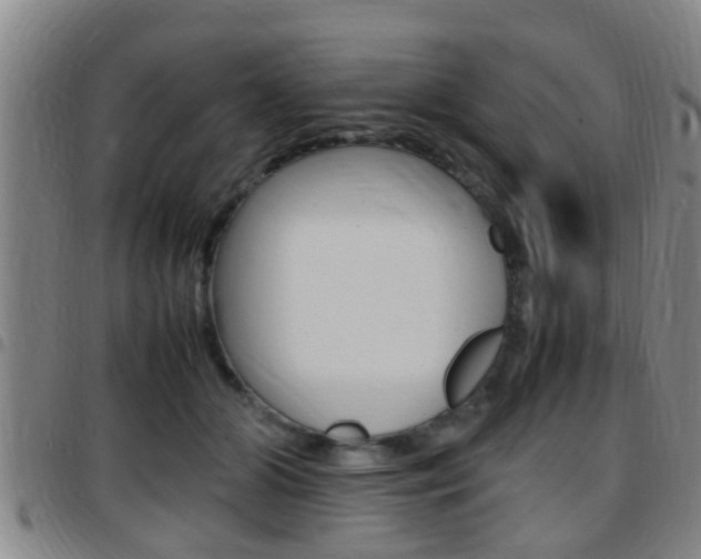 X0000097880510200803140945