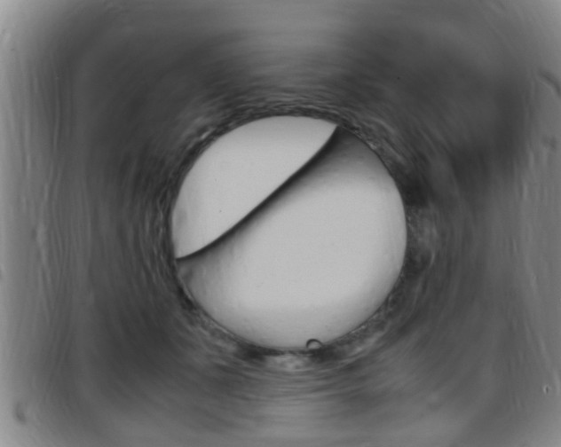 X0000097880511200803140945